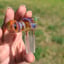 Small image 7