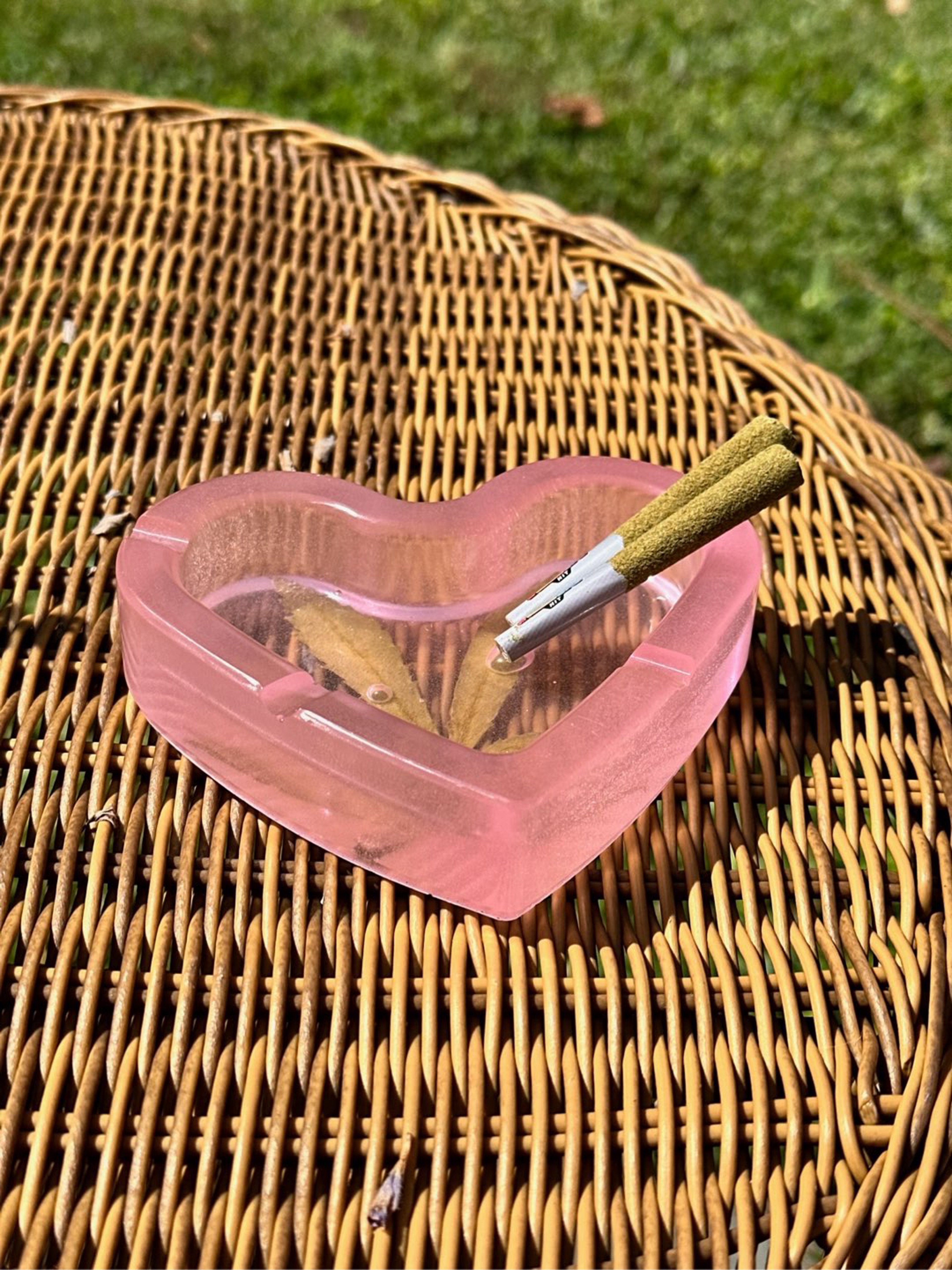 Preview pic of Glow in the dark Kissmyassh.tray - Black Friday sale