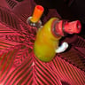 Small image 4
