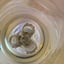 Small image 7