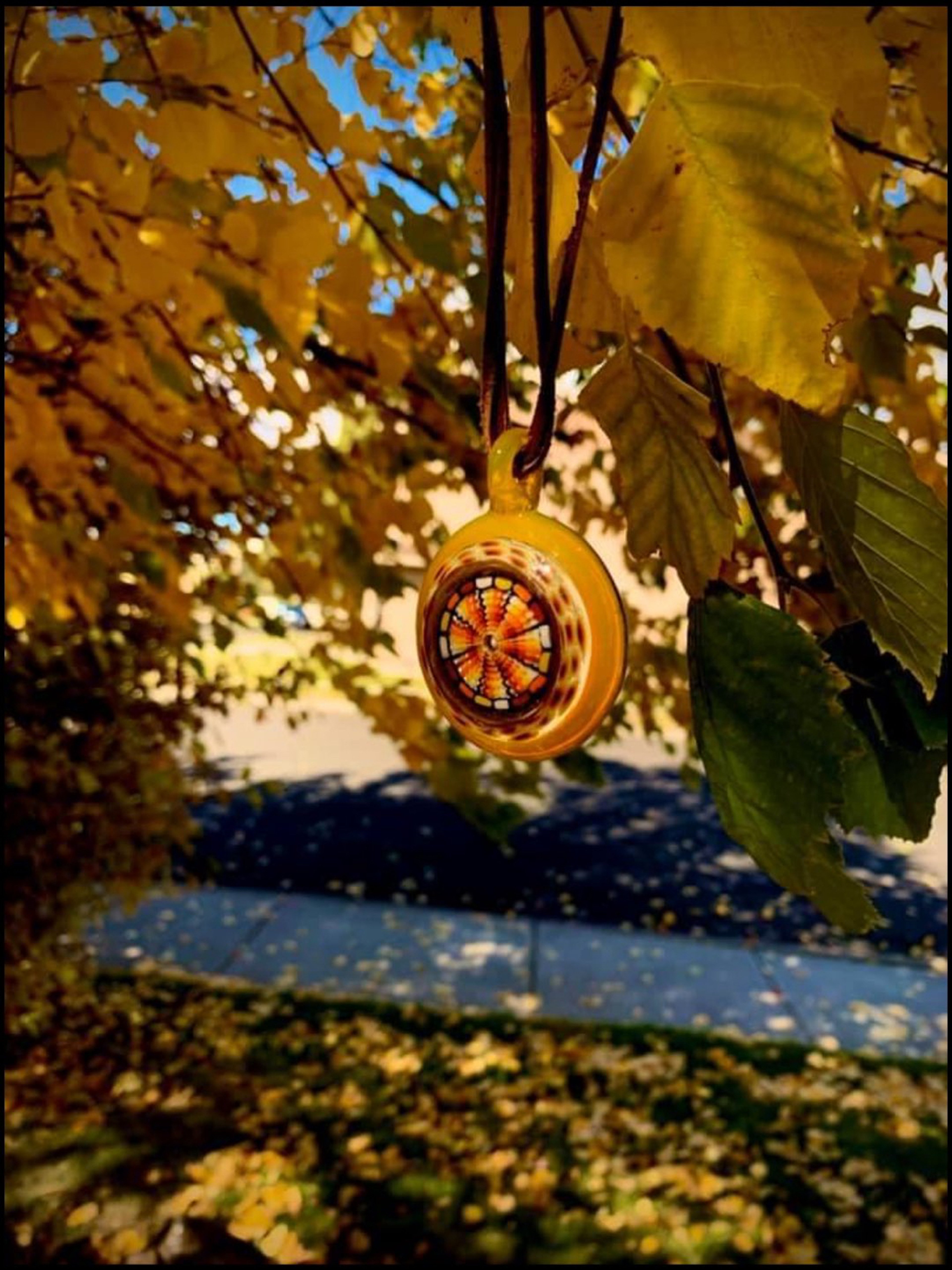 Preview pic of Scott Ratner x PixlGlass heady pendant