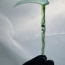 Small image 2