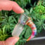 Small image 6