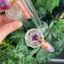 Small image 7