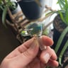 Small image 3