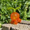 Small image 4