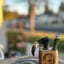 Small image 9