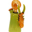 Small image 7
