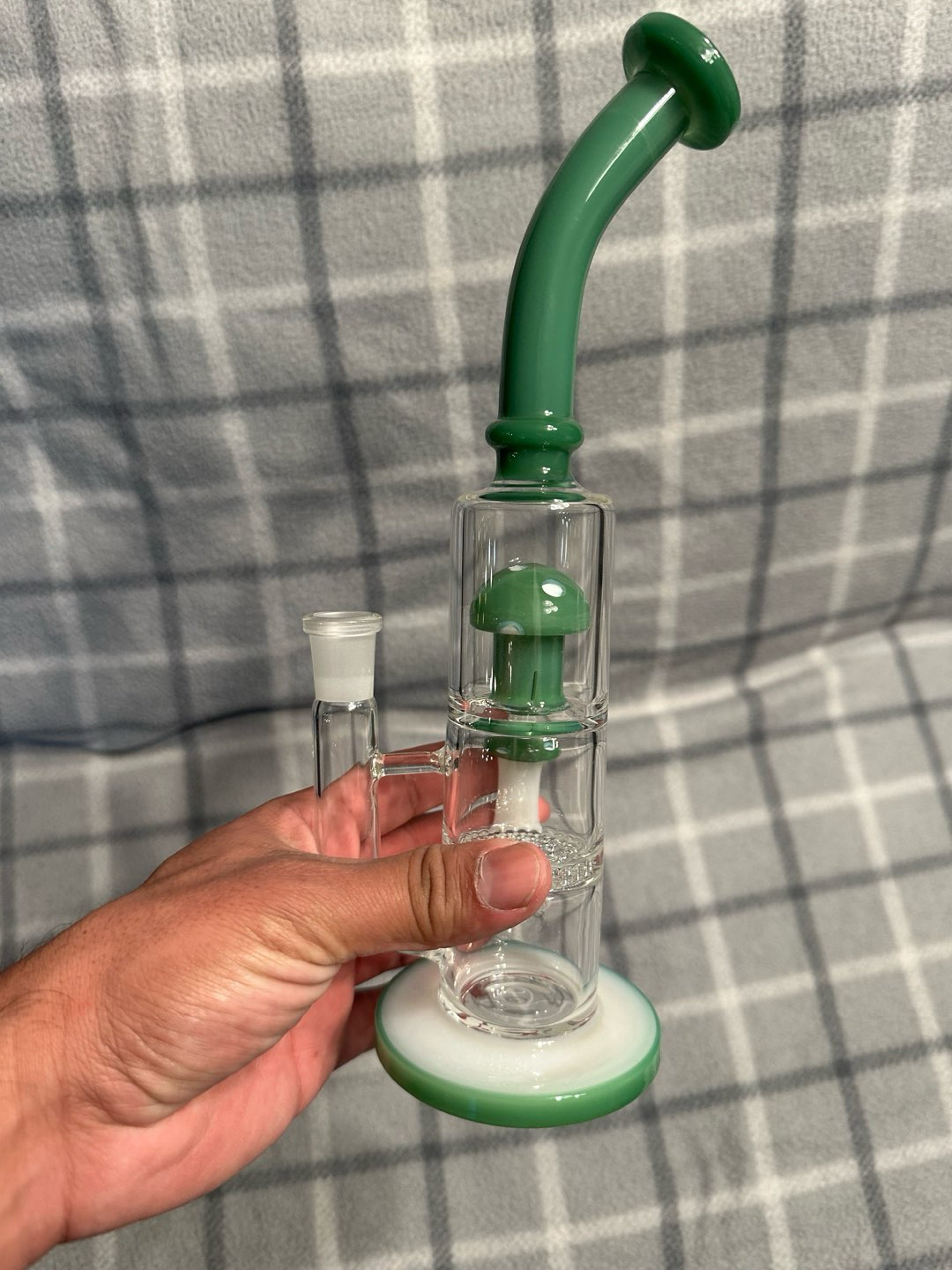 Preview pic of Mushroom 🍄