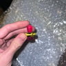 Small image 3