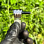 Small image 6