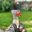 Small image 7