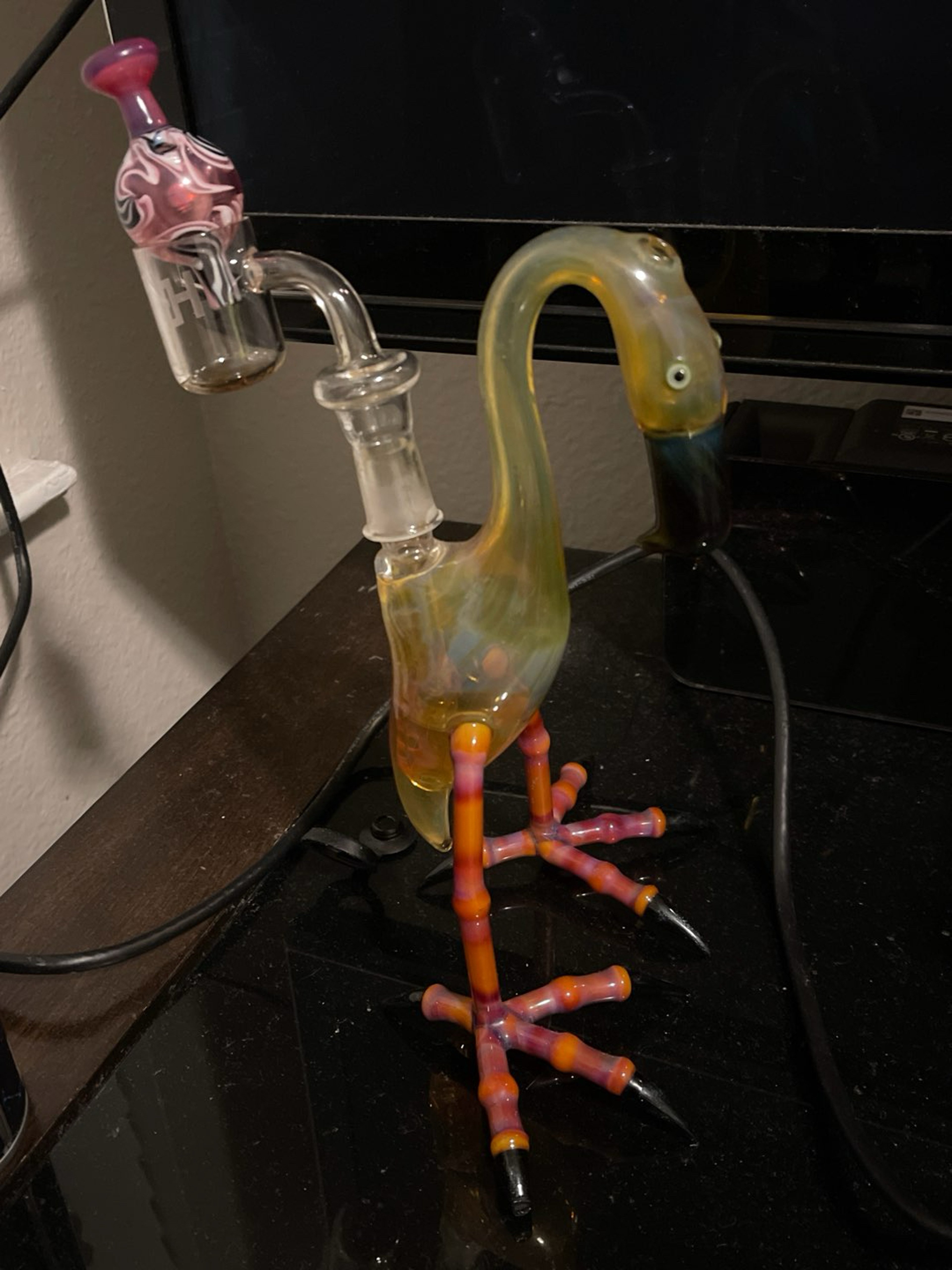 Burtoni flamingo image 0