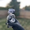 Small image 1