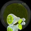 Small image 8