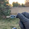 Small image 4