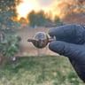 Small image 3