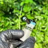 Small image 1