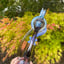 Small image 5