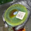 Small image 7