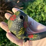Small image 2