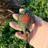 Small image 4