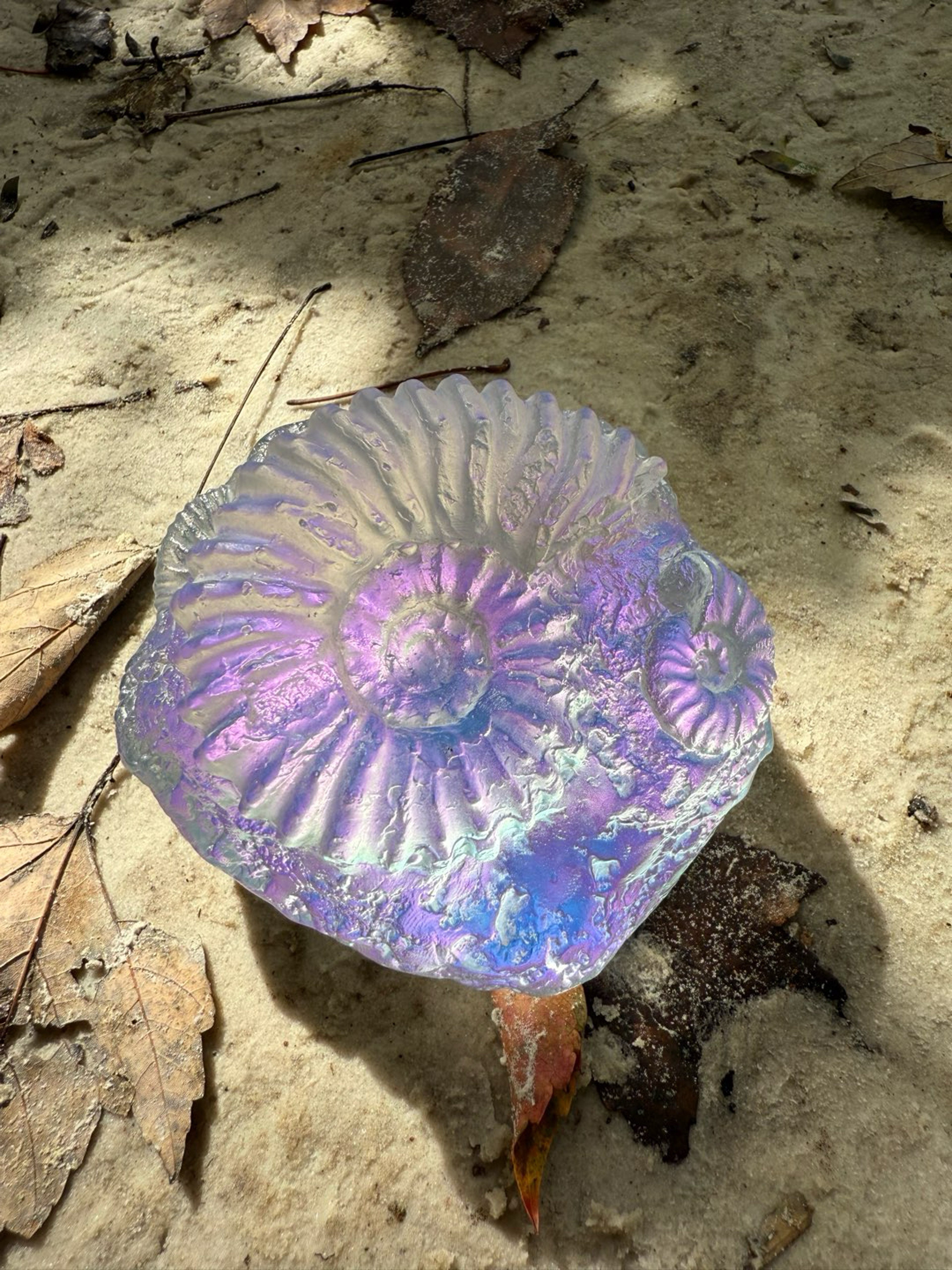 Preview pic of Jeremy Sinkus Amethyst Ammonite