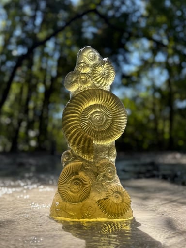 Preview pic of Jeremy Sinkus Ancient Ammonite Sculpture