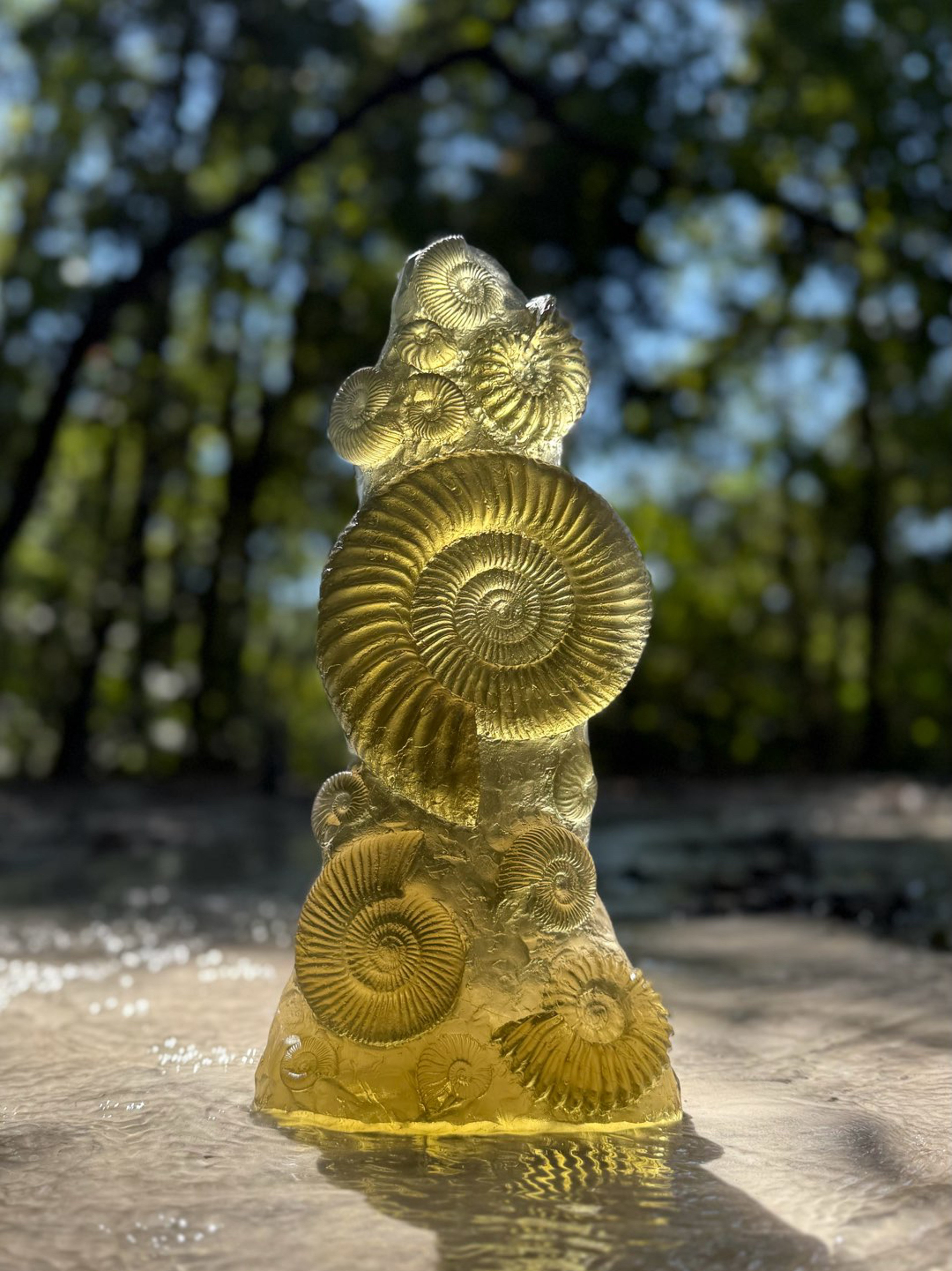 Preview pic of Jeremy Sinkus Ancient Ammonite Sculpture