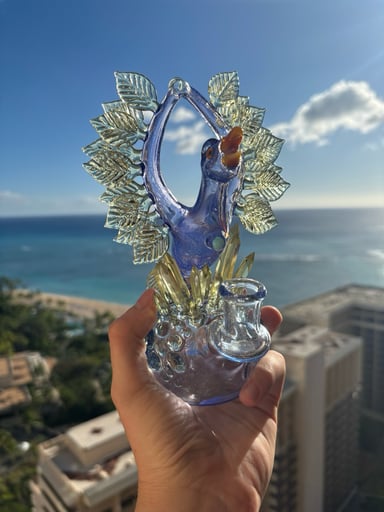 Preview pic of Burtoni x northernwaters CFL Phoenix