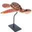 Small image 7