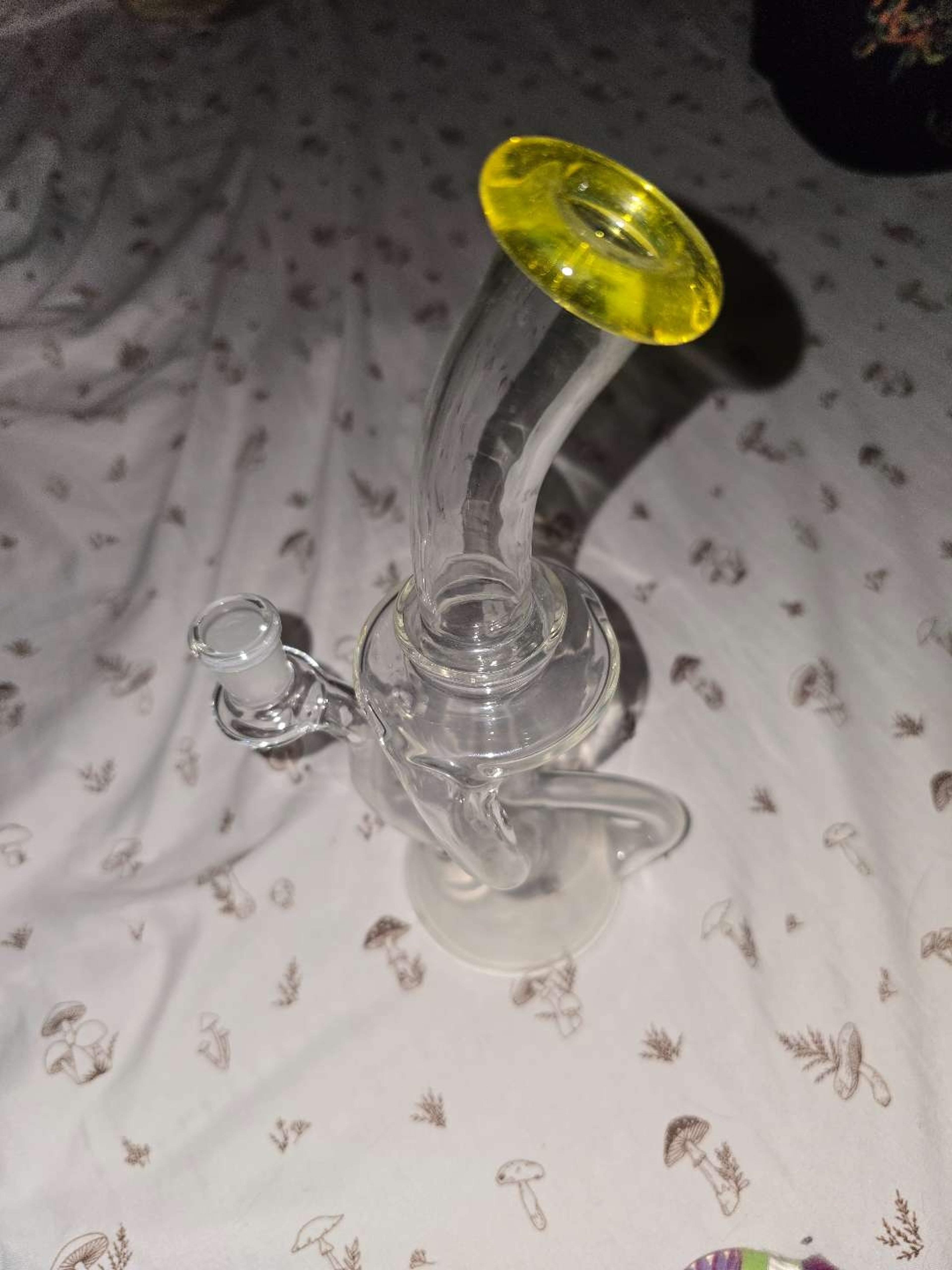 Double uptake recycler image 0