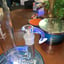 Small image 4