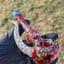 Small image 3