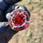 Small image 5