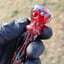 Small image 6