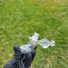 Small image 2