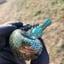 Small image 3