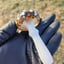 Small image 6