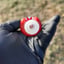 Small image 4