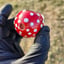 Small image 5