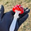 Small image 3