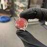 Small image 1