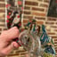 Small image 3