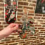 Small image 0