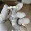 Small image 4