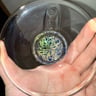 Small image 5