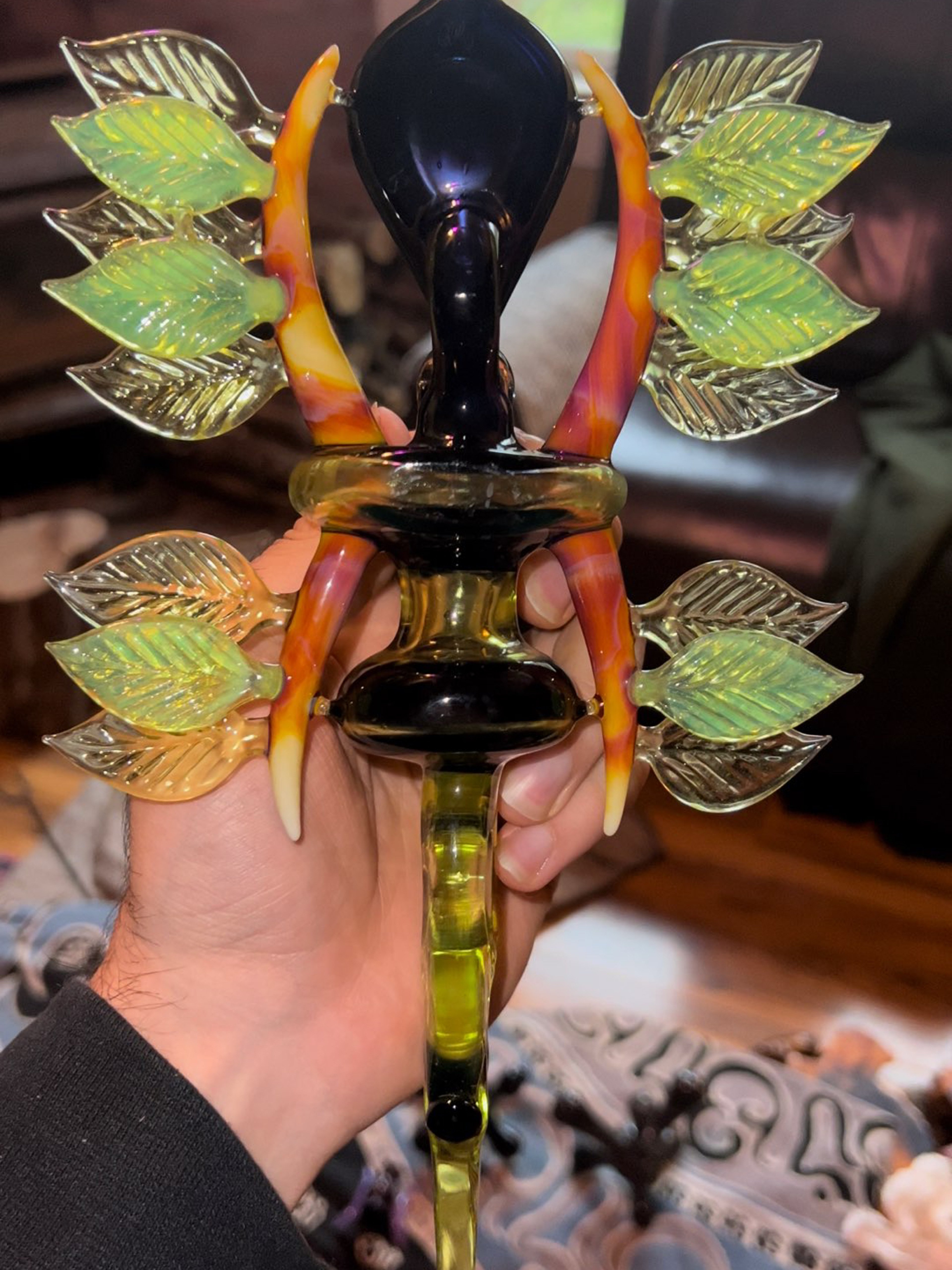 Preview pic of Calm x burtoni dry