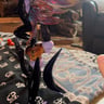Small image 2