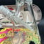 Small image 4